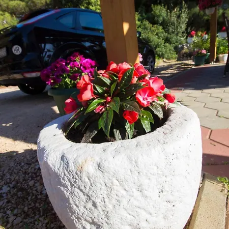 Apartment Apartmani Vesna Grebastica By Interhome 公寓 *