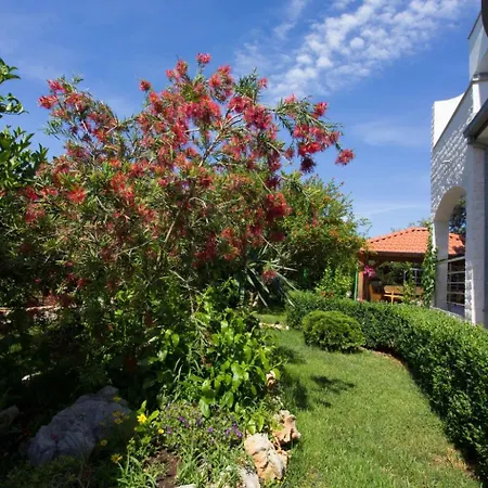 Apartment Apartmani Vesna Grebastica By Interhome 公寓 Grebaštica