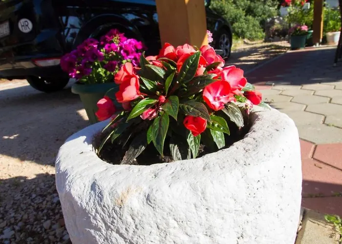 Vesna By Interhome 아파트 *